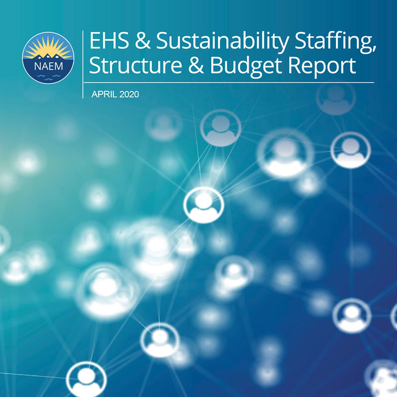 2020 EHS&S Staffing, Structure & Budget Report