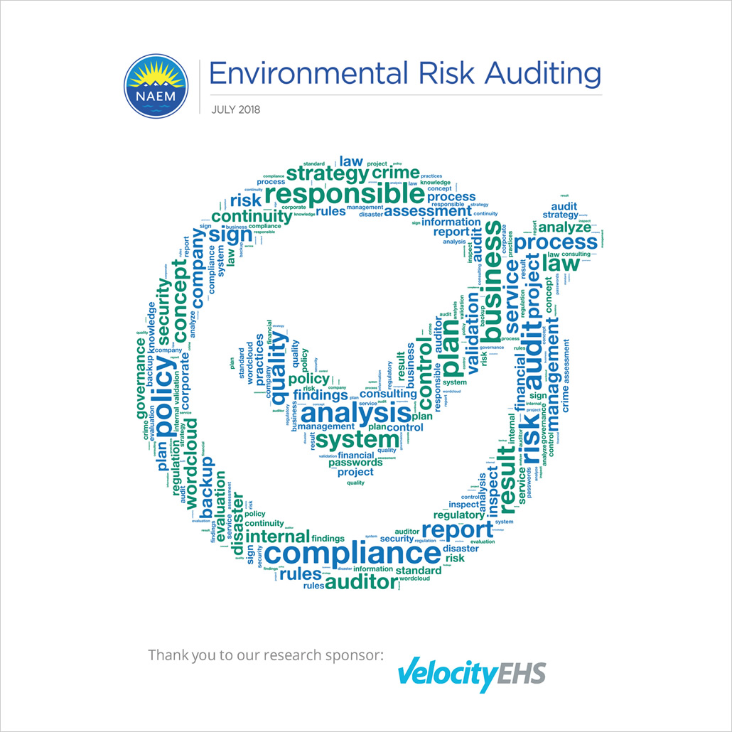 Environmental Risk Auditing